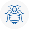 Bed Bug Extermination In Wilsden